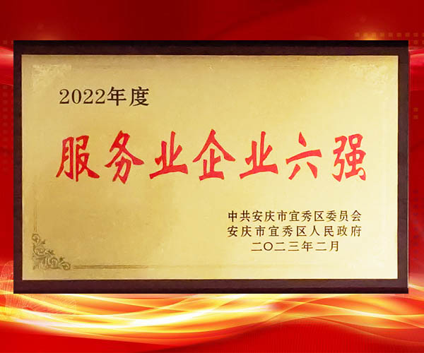 通配物資公司榮獲宜秀區(qū)“服務(wù)業(yè)企業(yè)六強(qiáng)”榮譽(yù)稱號(hào) 3